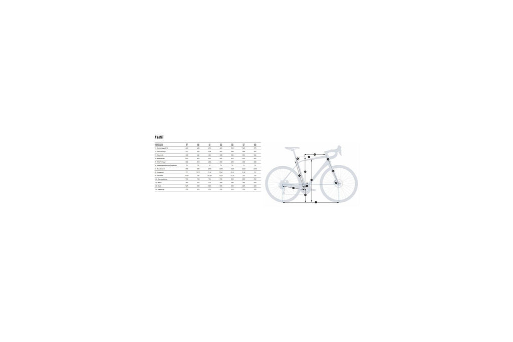 Orbea Alma M25 – 29 Zoll – Diamant
