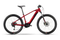 Raymon HardRay E 4.0 – 500 Wh – 29 Zoll – Diamant