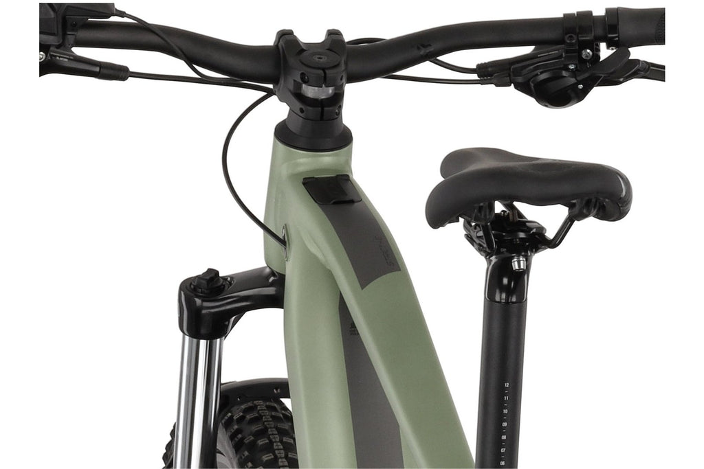 Carver Strict E.510 – 500 Wh – 29 Zoll – Diamant
