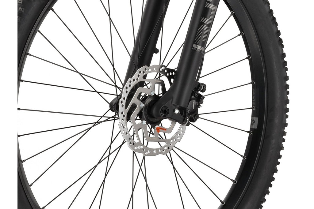 Carver Strict E.510 – 500 Wh – 29 Zoll – Diamant