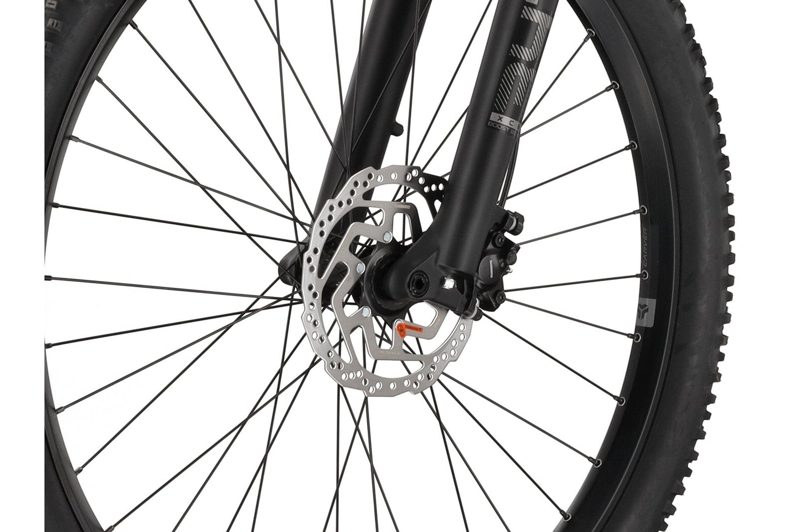 Carver Strict E.510 – 500 Wh – 29 Zoll – Diamant