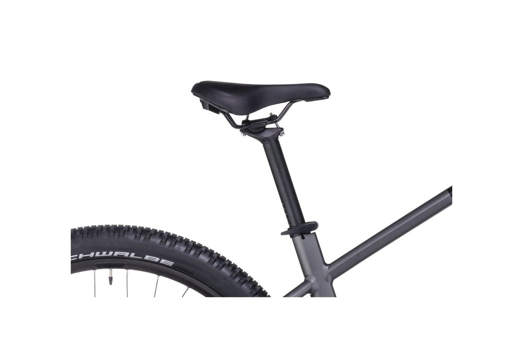 Cube Reaction Hybrid Race 625 – 625 Wh – 29 Zoll – Diamant