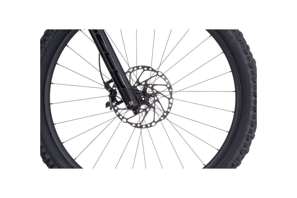Cube Stereo ONE77 Race 29 – 29 Zoll – Fully – 2024