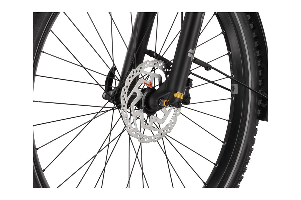 Carver SUV E.530 - 625 Wh - 29 Zoll - Diamant - 2025 – Bild 7