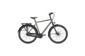Gazelle Chamonix C8 – 28 Zoll – Diamant – 2025
