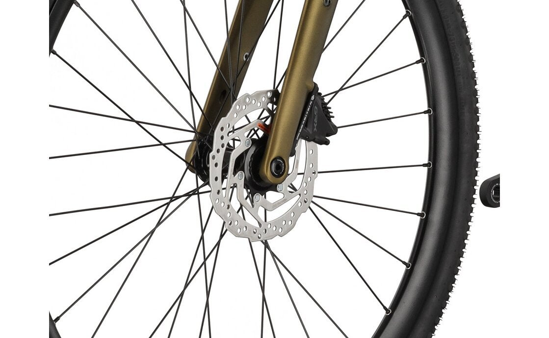 Carver Gravel 220 – 28 Zoll – Diamant – 2025