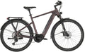 Carver Route E.530 - B-Ware - 625 Wh - 28 Zoll - Diamant - 2025