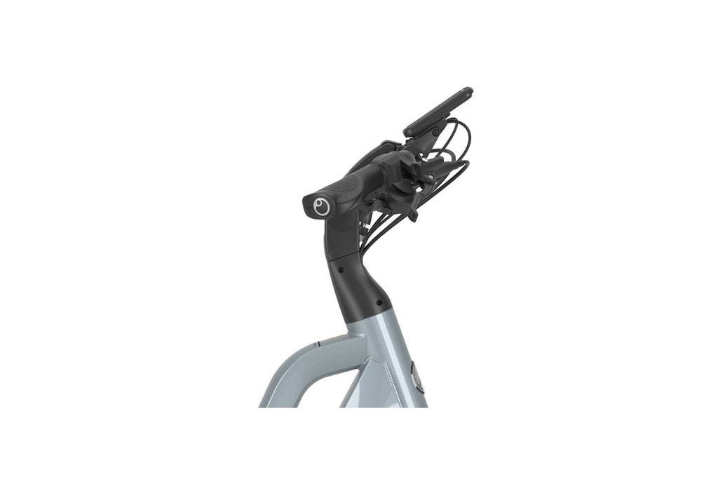 Gazelle Chamonix T10 HMS – 630 Wh – 28 Zoll – Tiefeinsteiger – 2024