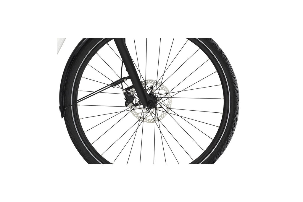 Diamant Beryll Deluxe+ RT – 500 Wh – 28 Zoll – Tiefeinsteiger