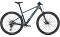 Focus Raven 8.7 – 29 Zoll – Diamant – 2025