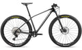Orbea Alma M25 – 29 Zoll – Diamant