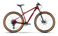 Raymon HardRay 7.0 – 29 Zoll – Diamant – 2024
